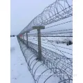 Heavy Galv. Concertina Razor Wire Fence for Protection